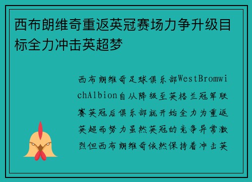 西布朗维奇重返英冠赛场力争升级目标全力冲击英超梦